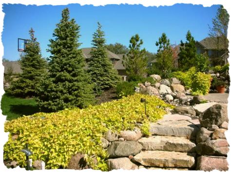 landscaping ideas and tips, foundation landscape ideas, tips for landscaping, omaha nebraska